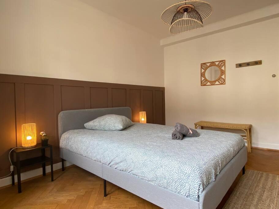 Charismatique Orangerie-10Min Parlement Eu-Wifi-Tv Apartment Strasbourg Bagian luar foto