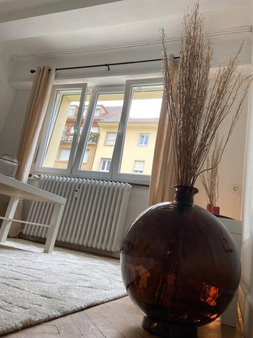 Charismatique Orangerie-10Min Parlement Eu-Wifi-Tv Apartment Strasbourg Bagian luar foto